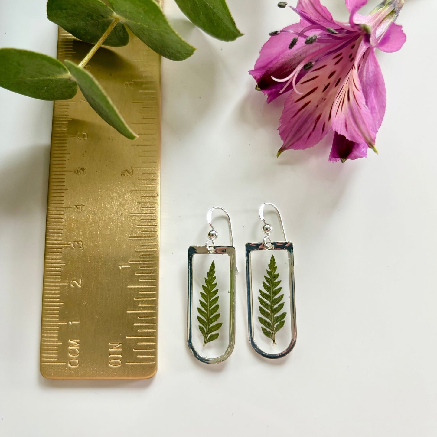 Silver Fern Earrings