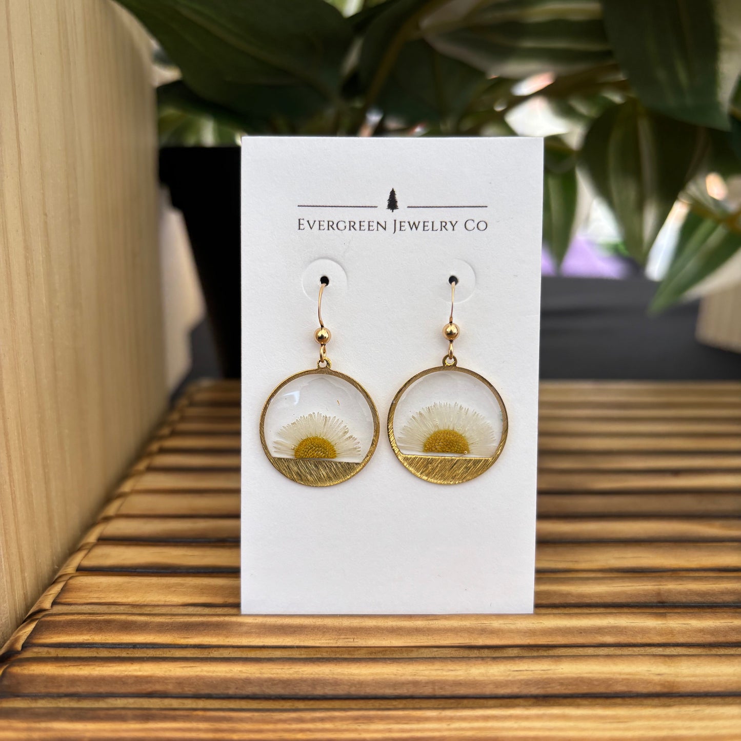 Rising Sun Fleabane Earrings