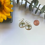 White Alyssum Earrings