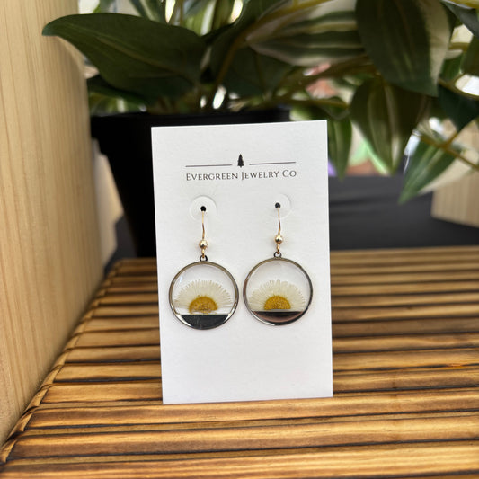 Rising Sun Fleabane Earrings in Silver